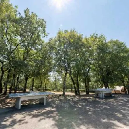 Bungalow 4 Etoiles - Piscine - Eechcc Crayssac